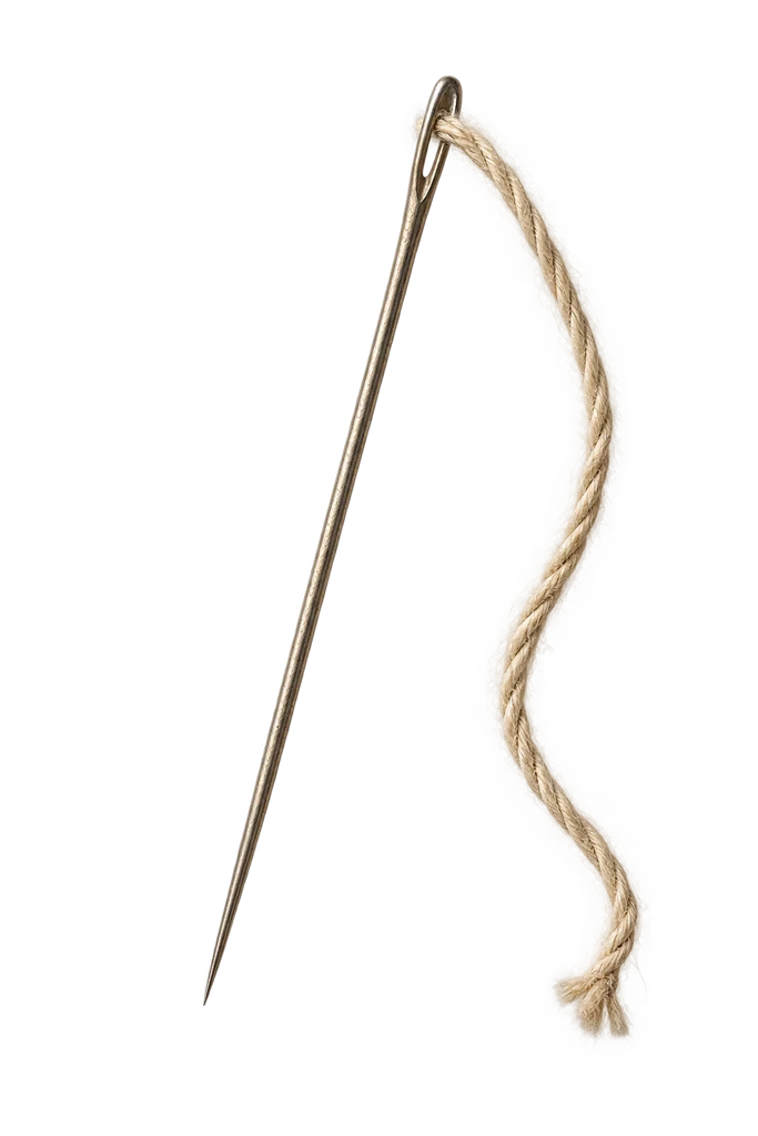 L’aiguille