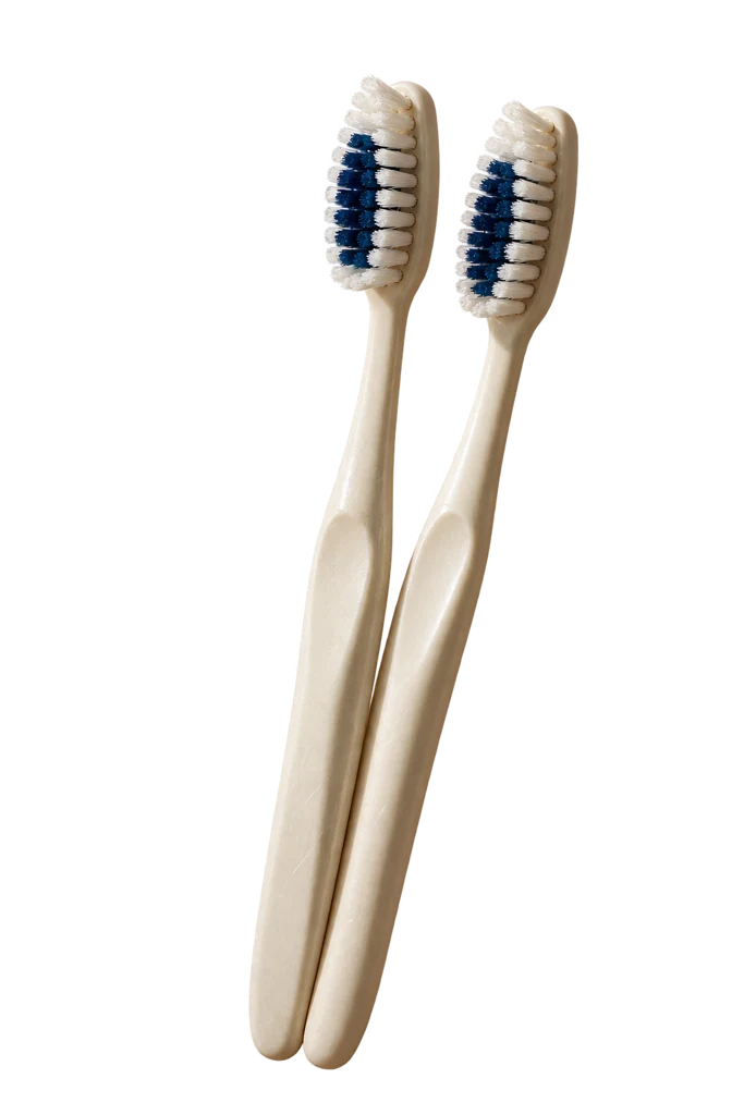 Les deux brosses